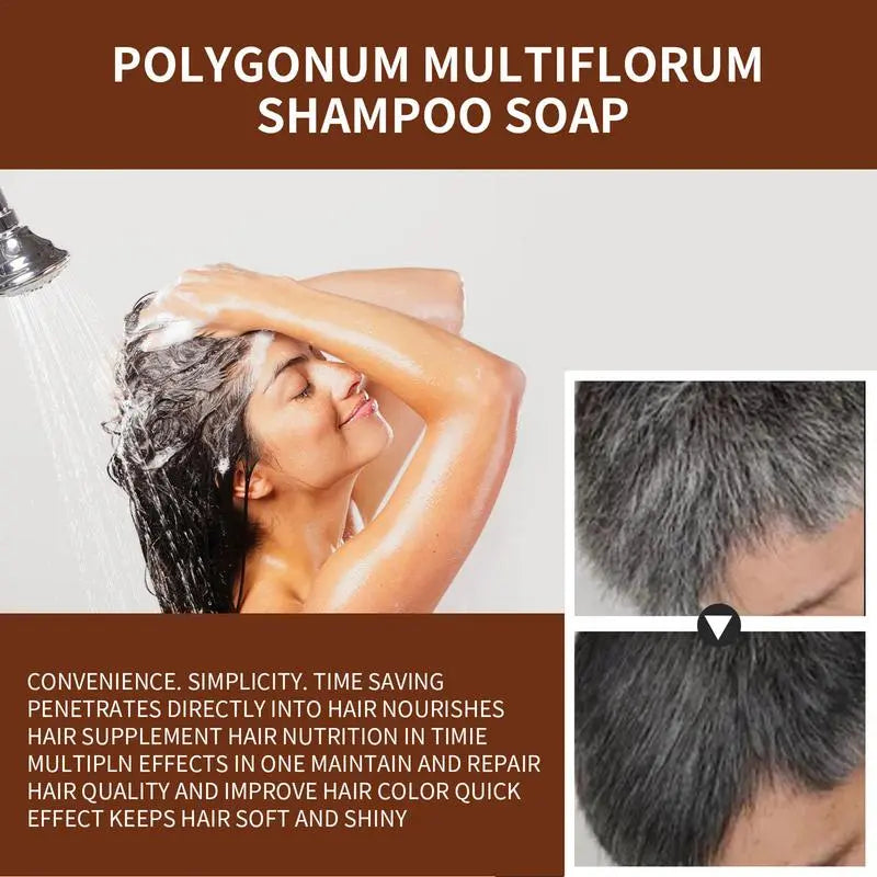 Natural Organic Darkening Shampoo Bar Soap Gray Hair Reversal Effect